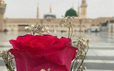 The Obligation of Love